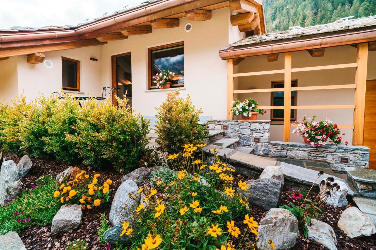 Holiday home De Goldene Traum *